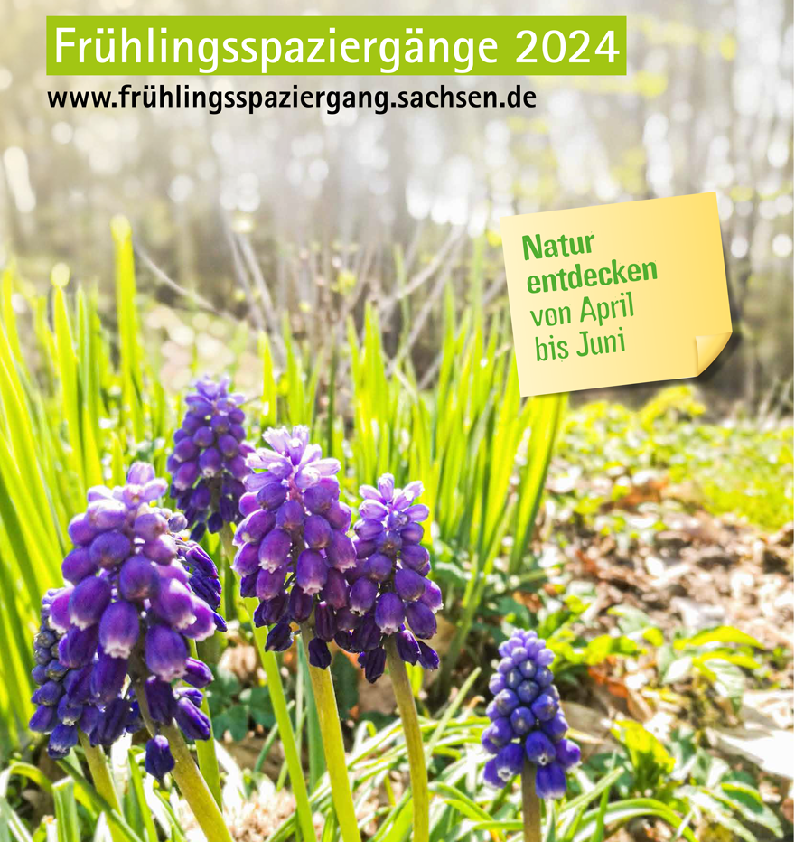 Titelbild der Broschüre Frühlingsspaziergänge 2024