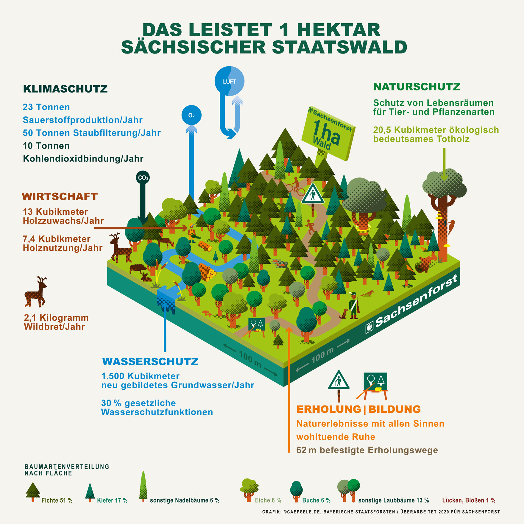 grafische Veranschaulichung der Leistungen von einem Hektar sächsischer Staatswald