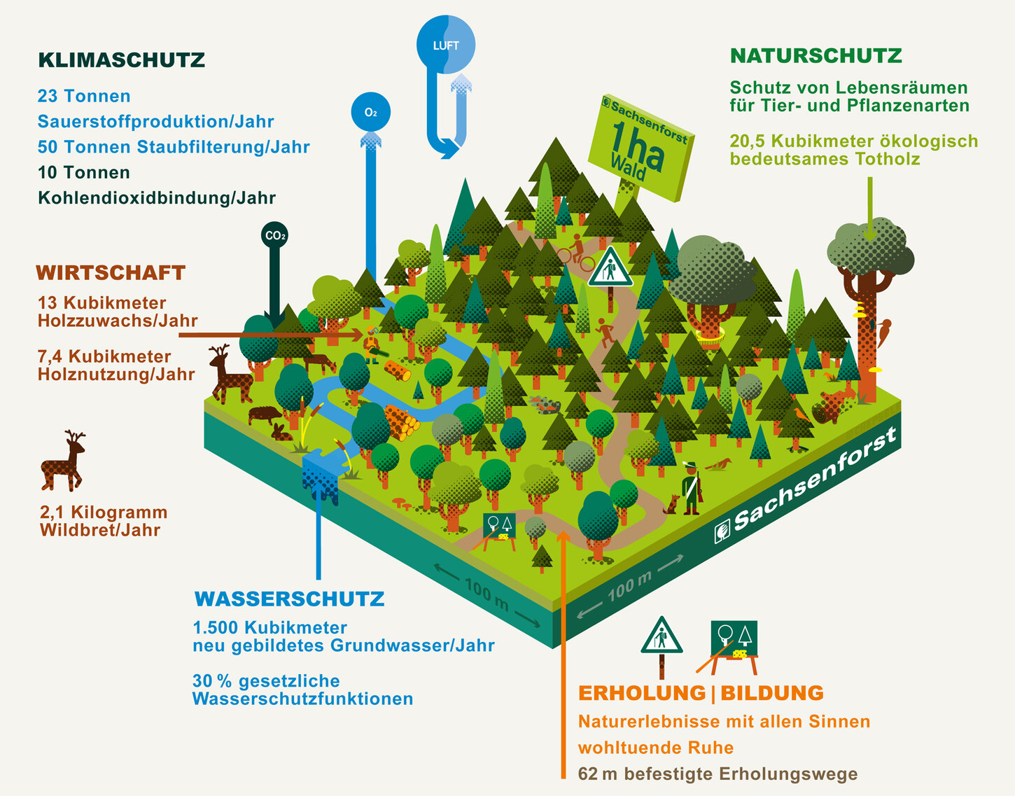 Grafische Darstellung der Leistungen des Waldes