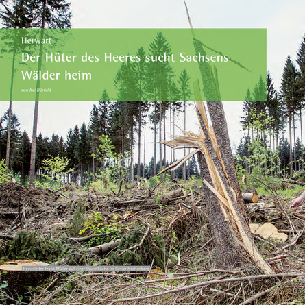 Blick auf eine Schadfläche