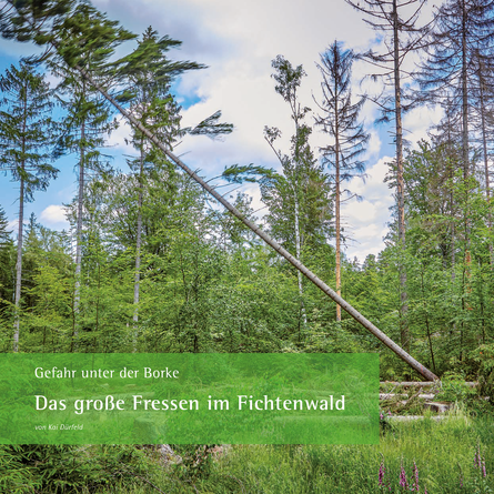 Blick auf eine vom Borkenkäfer geschädigte Fläche mit einem umgestürzten schräg stehendem Baum.