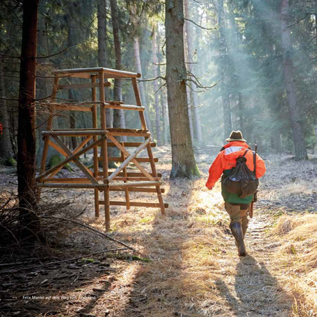 Ein Jäger mit Rucksack und Waffe auf dem Weg zu einem Hochsitz.
