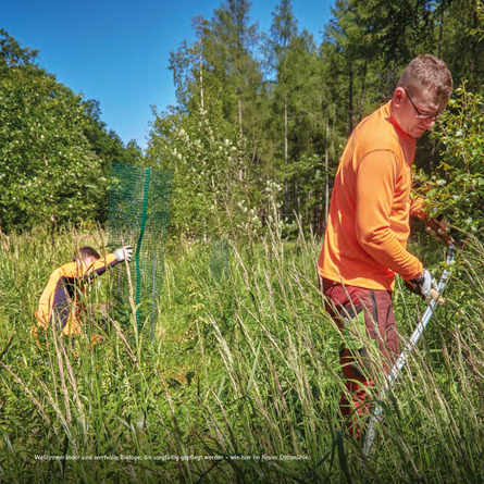 Auf einer Wiese mit hohem Gras schützt ein Mitarbeiter einen jungen Baum mit einem Drahtnetz und ein anderer Mitarbeiter beseitigt mit einer Sense hohes Gras.