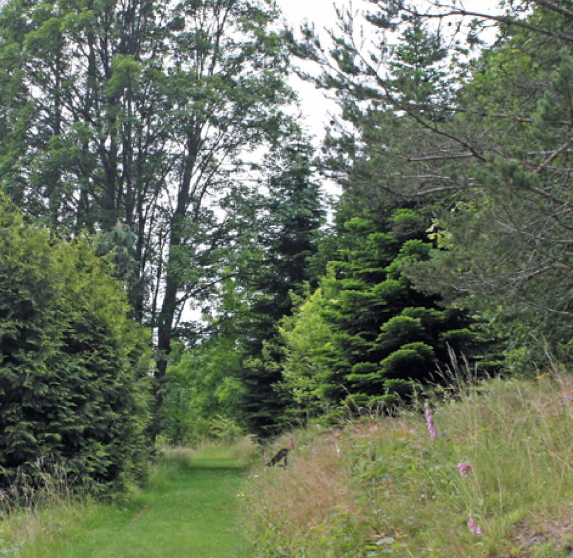 Blick ins Arboretum