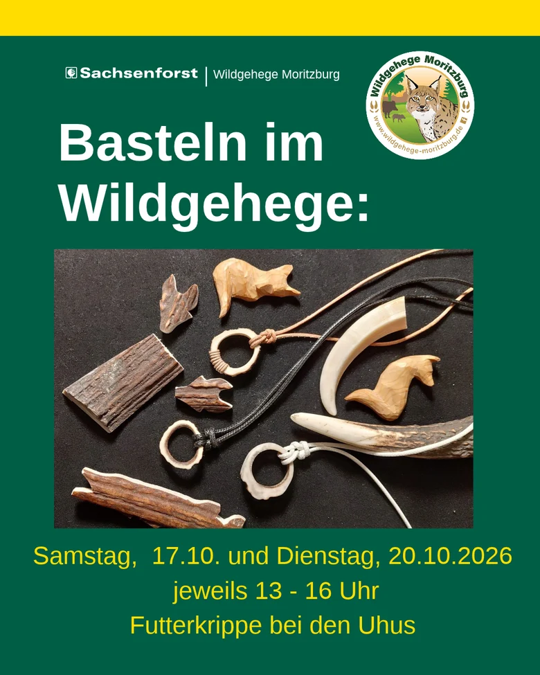 Plakat zum Basteln im Wildgehege