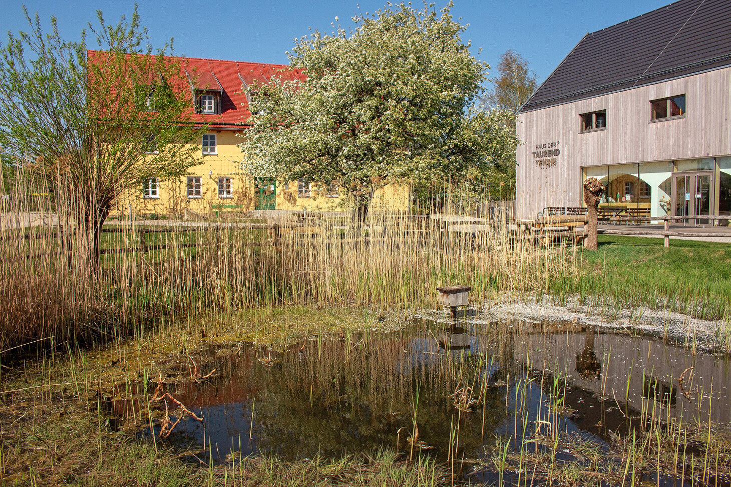 Gebäude der Biosphärenreservatsverwaltung, rechts das Haus der Tausend Teiche, im Vordergrund ein Tümpel.