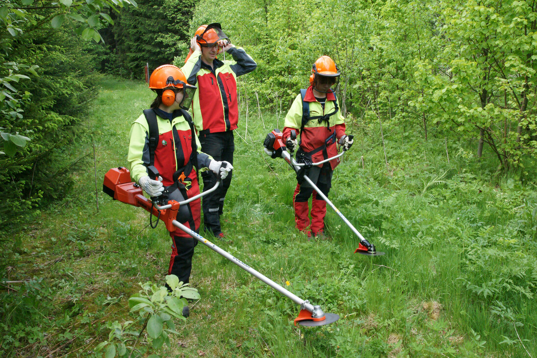 Lehrlinge bei der Arbeit mit dem Freischneider