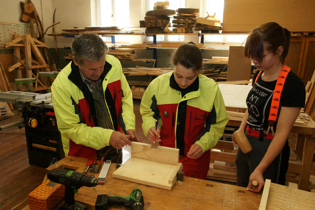 Lehrlinge beim Bau eines Fledermauskastens in der überbetrieblichen Lehrausbildung.