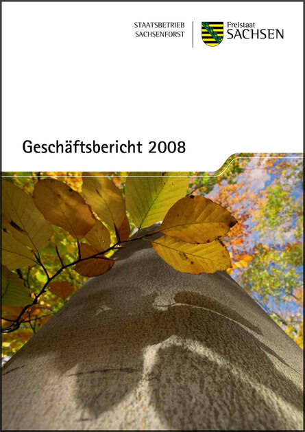 Titelbild der Broschüre Geschäftsbericht 2008