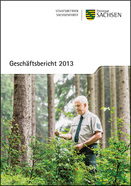 Titelblatt des Geschäftsberichtes 2013