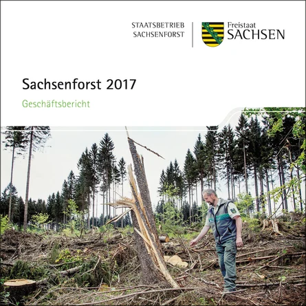Titelbild des Gesch&auml;ftsberichtes 2017