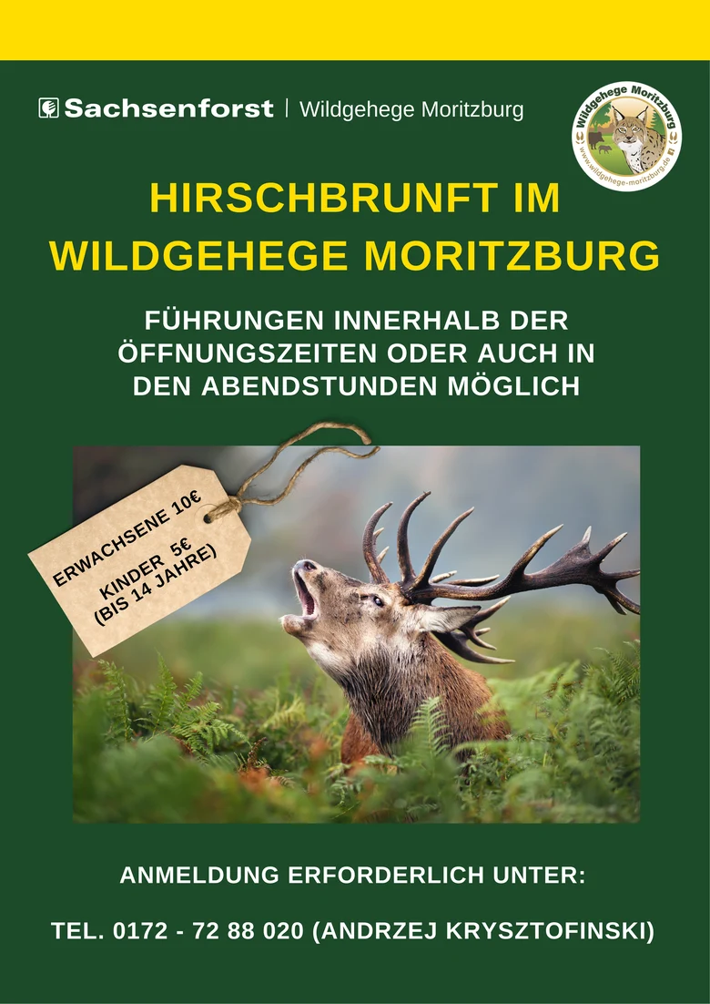 Plakat zur Führung Hirschbrunft