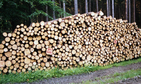 Holzstapel