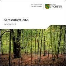 Titel der Brosch&uuml;re Jahresbericht 2020
