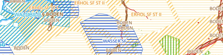 Ausschnitt aus einer Beispielkarte für Waldfunktionen