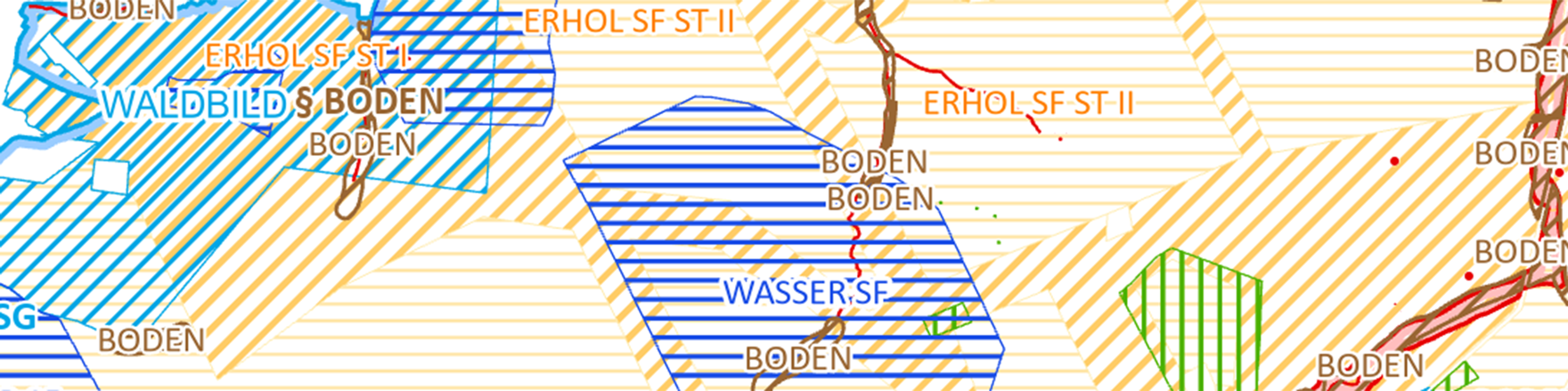Ausschnitt aus einer Beispielkarte für Waldfunktionen