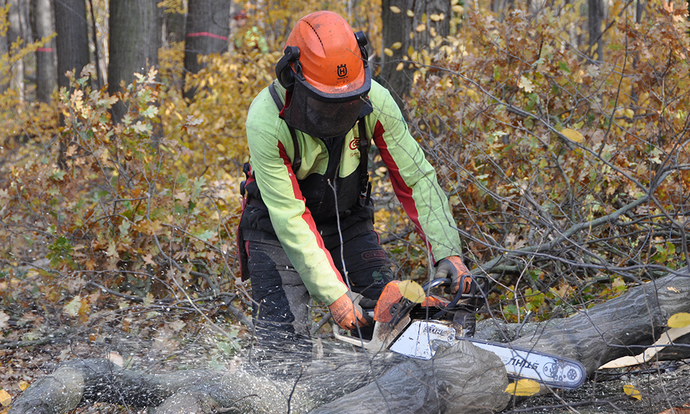 Waldarbeiter in Schutzkleidung mit Motorsäge