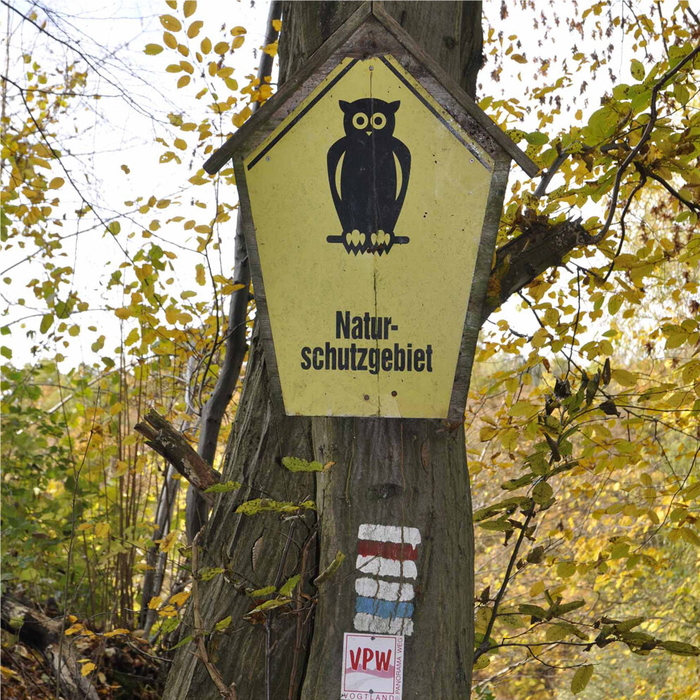 Hölzernes Schild mit schwarzem Uhu auf gelbem Grund an einem Baum im Wald, an dem sich auch farbige Markierungen für Wanderwege befinden.