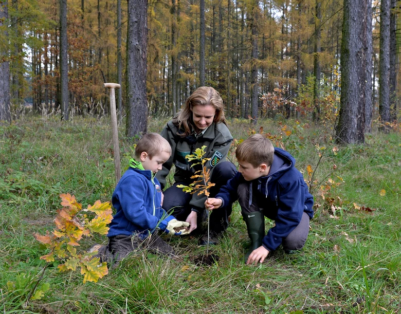 Sachsenforst-Mitarbeiterin mit zwei Kindern bei der Pflanzung eines Baumes im Wald.
