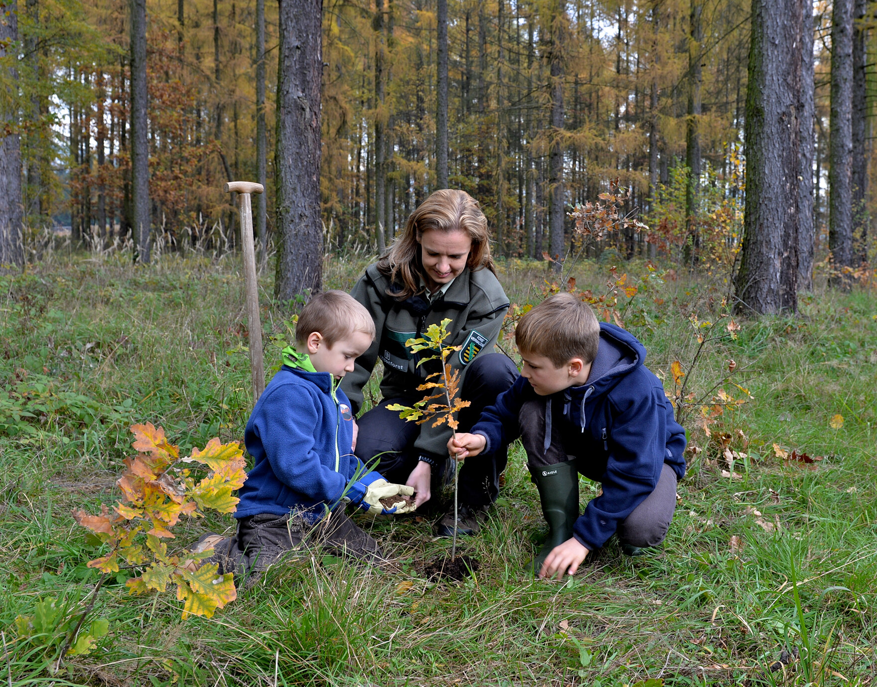 Sachsenforst-Mitarbeiterin mit zwei Kindern bei der Pflanzung eines Baumes im Wald.
