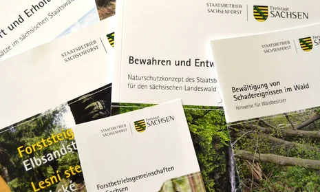 Auswahl an Brosch&uuml;ren von Sachsenforst