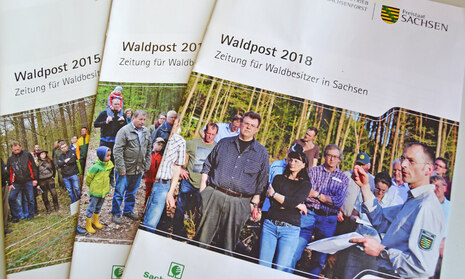 Auswahl verschiedener Ausgaben der Waldpost