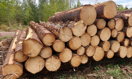 Holzpolter