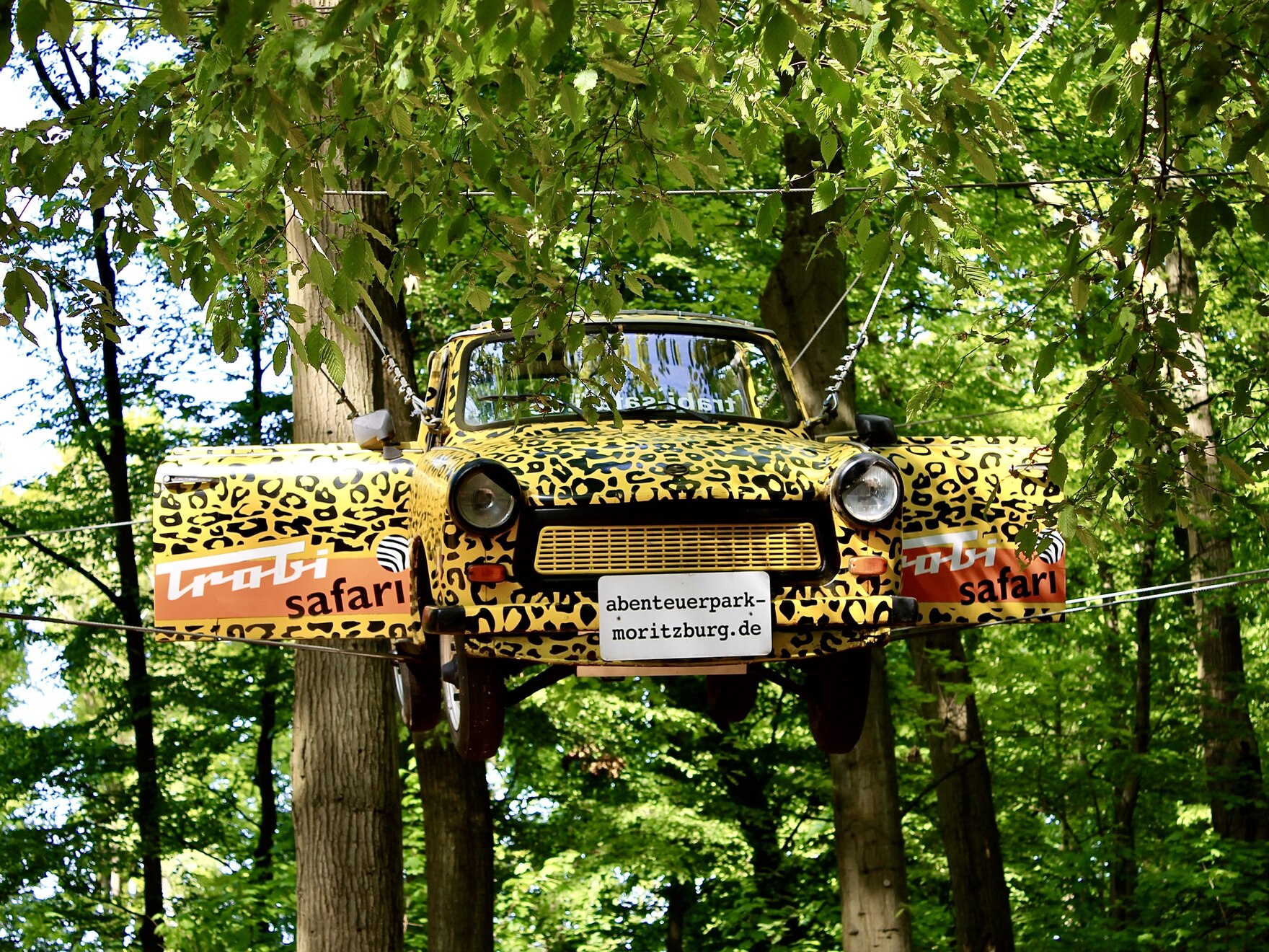Trabi im Leopardenmuster in den Baumkronen