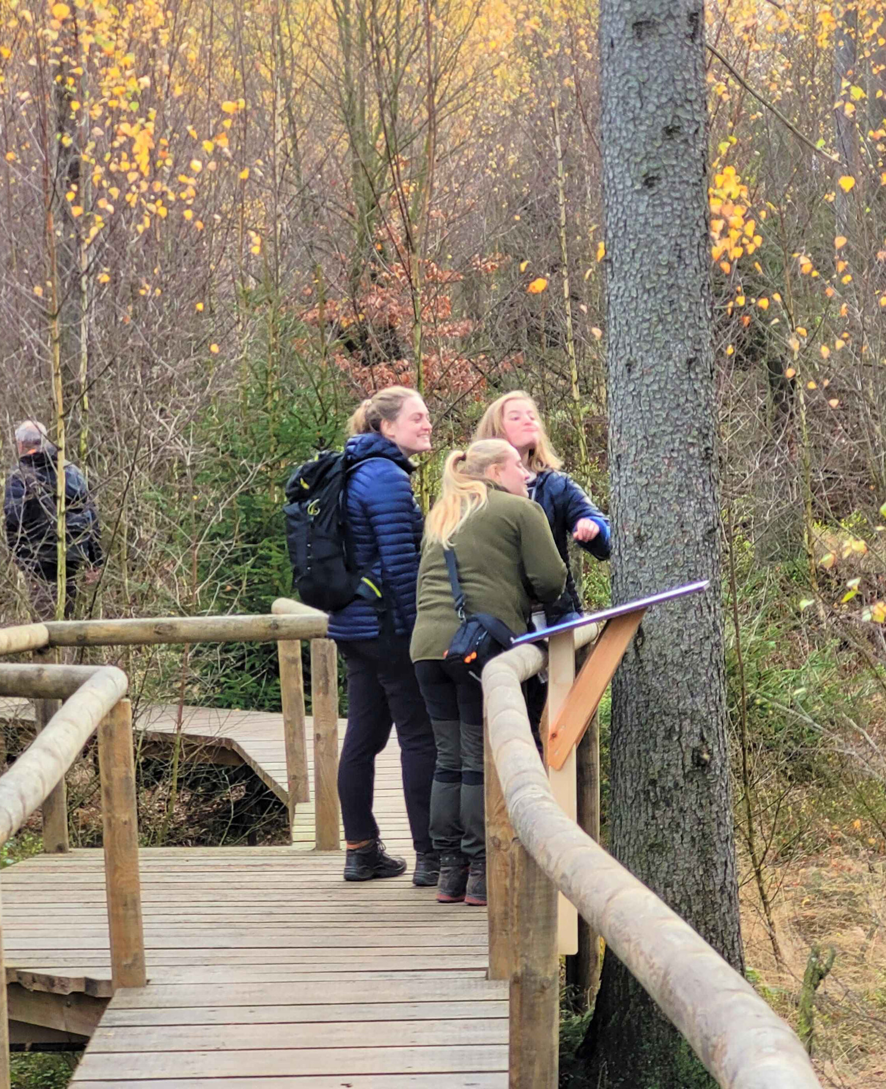 Besucher auf einem Holzsteig