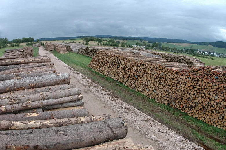 Holzlagerplatz au&szlig;erhalb des Waldes