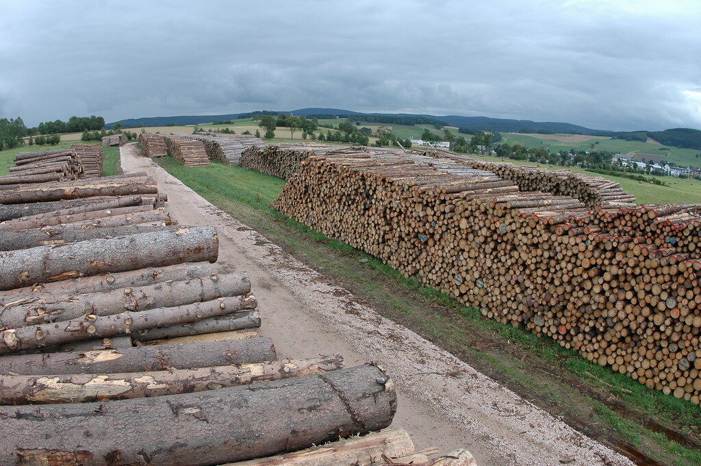 Holzlagerplatz außerhalb des Waldes