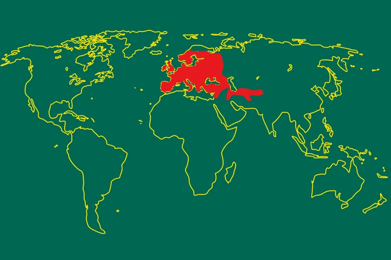 Weltkarte mit farblich markiertem Verbreitungsgebiet des Dachses.