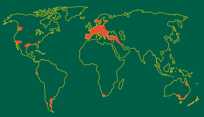 Weltkarte mit farblich markierten Verbreitungsgebieten