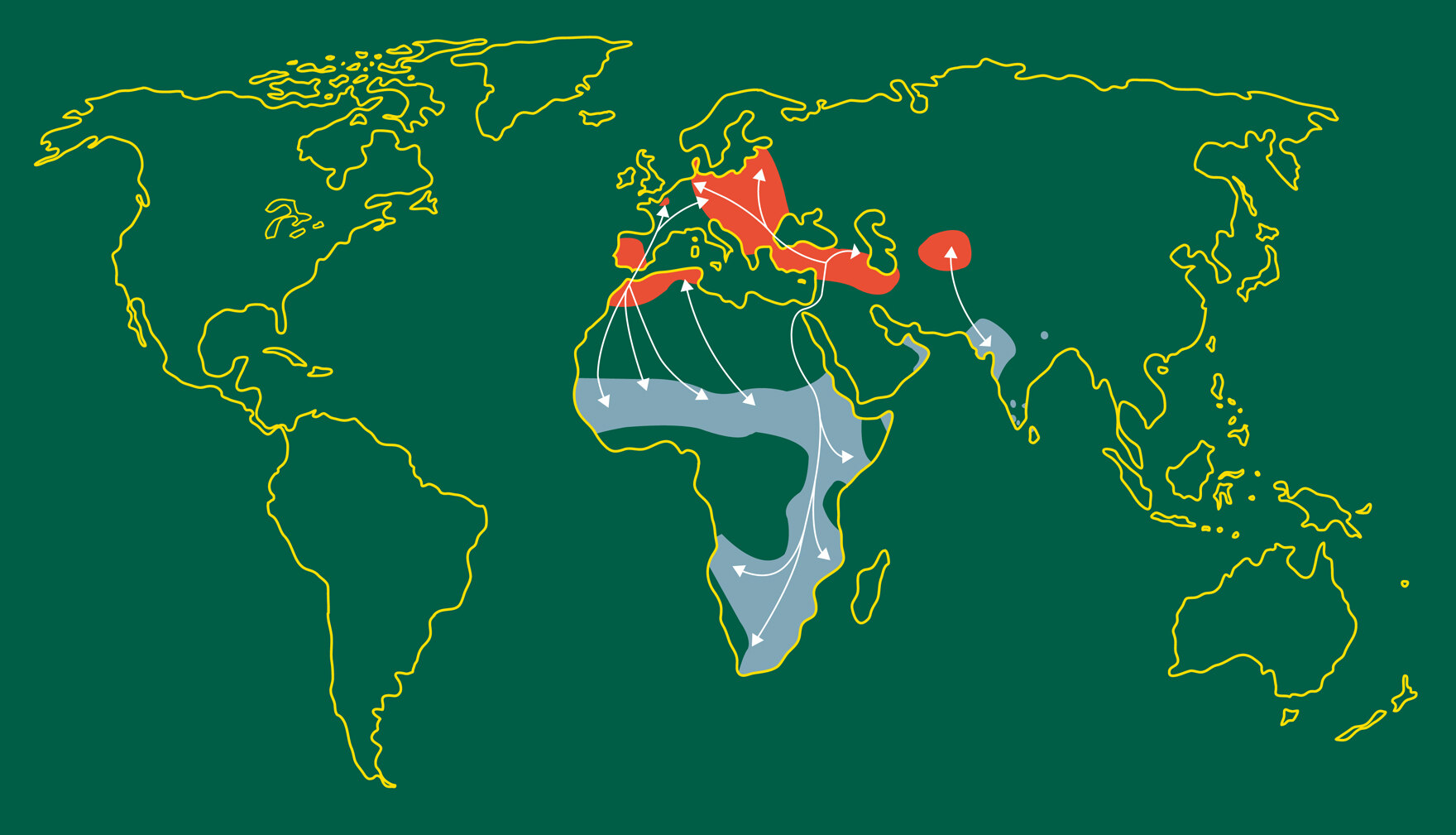 Weltkarte mit farblich markierten Verbreitungsgebieten