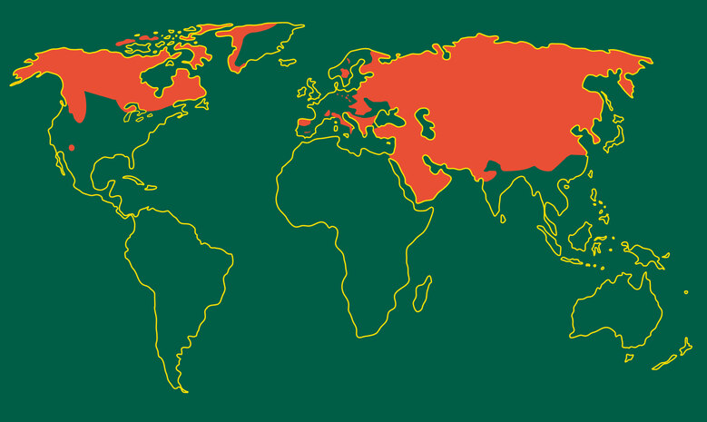 Weltkarte mit farblich gekennzeichnetem Verbreitungsgebiet