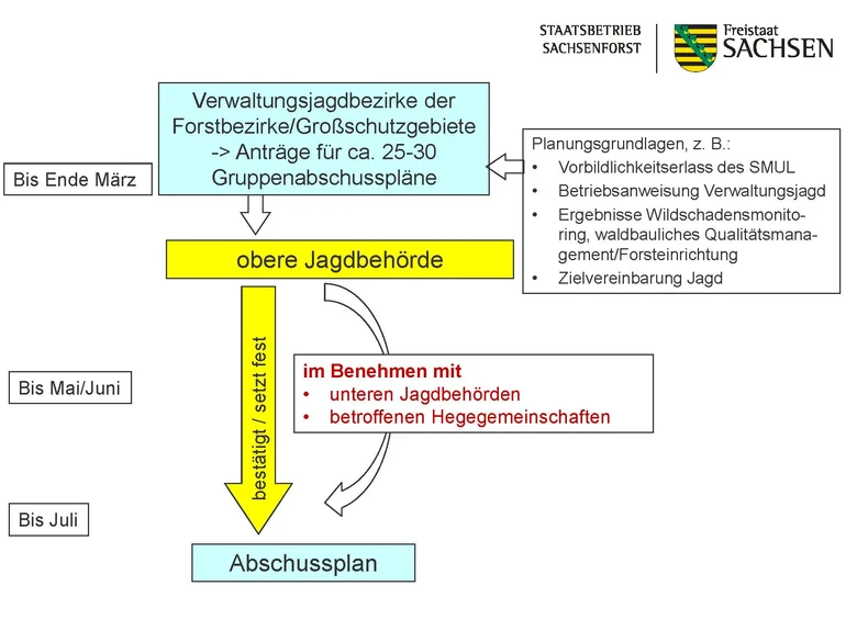 Die Grafik stellt das Verfahren zur Abschussplanung dar wie es auch im Text darunter beschrieben ist.