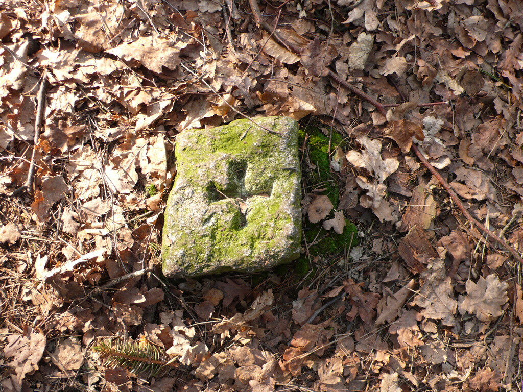 Grenzstein auf dem Waldboden