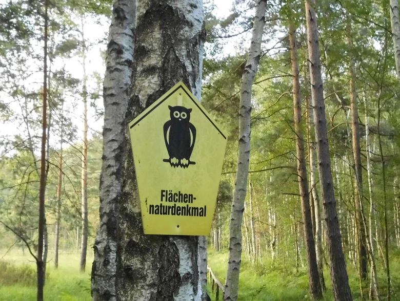 Gelbes Schild mit schwarzer Eule und Aufschrift Fl&auml;chennaturdenkmal an einem Baum im Wald