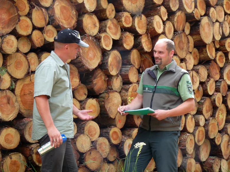 Ein F&ouml;rster und ein Waldbesitzer vor einem Holzstapel