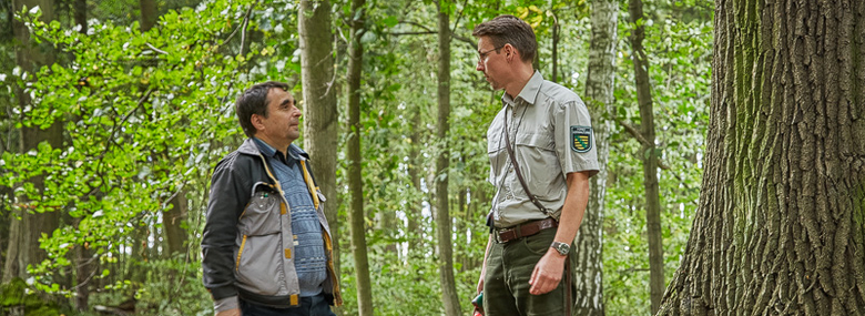 Waldbesitzer im Gespräch mit einem Förster im Wald.