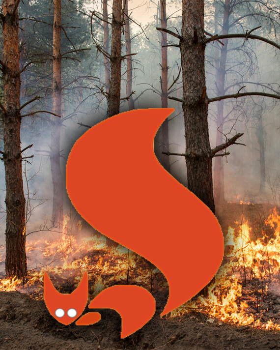 Waldbrandbild mit Grafik des Waldbrand-Eichhörnchens