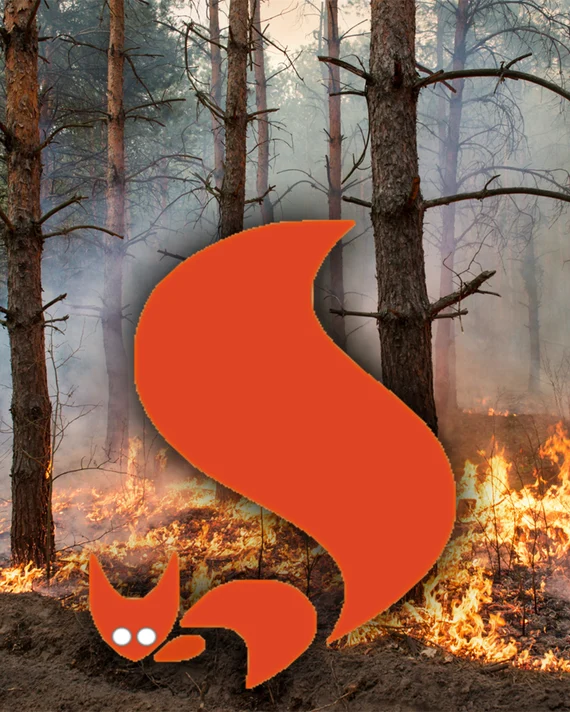 Waldbrandbild mit Grafik des Waldbrand-Eichhörnchens mit Link zur Seite www.wald.sachsen.de/waldbrandgefaehrdung-4186.html