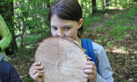 Mädchen riecht an Baumscheibe