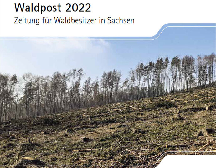 Titelblatt der Waldpost 2022