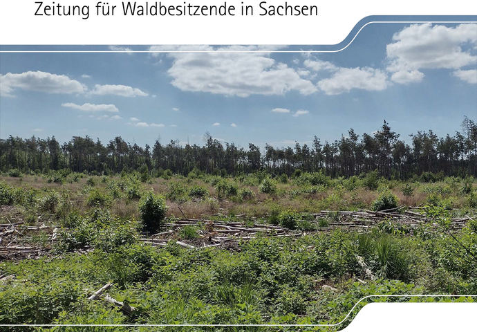 Ausschnitt des Titelblatts der Waldpost 2026