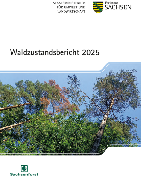Titelblatt des Waldzustandsberichtes 2025