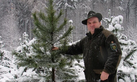 F&ouml;rster mi Weihnachtsbaum