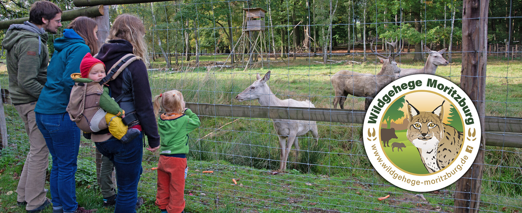 Besuchergruppe mit Kindern an einem Gehege und das Logo des Wildgeheges Moritzburg rechts