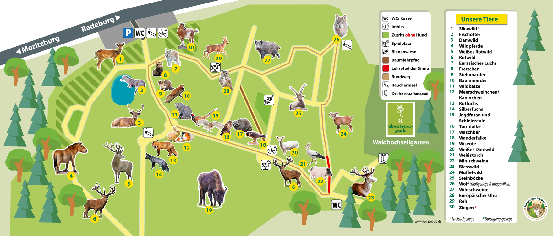 Lageplan des Wildgeheges Moritzburg