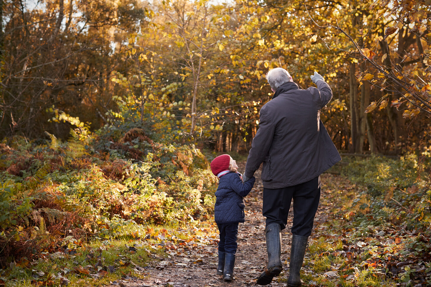 Opa mit Enkeltochter an der Hand in herbstlichem Wald.